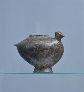 Vase aviforme