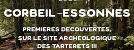 Corbeil-Essonnes : premières découvertes sur le site archéologique des Tarterêts III