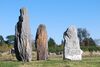 Menhirs Cojoux