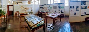 Salle d'exposition de l'Unité d'archéologie