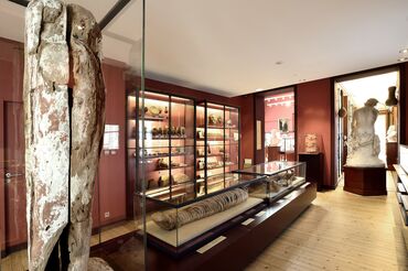 Salle archéologie méditerranéenne du musée Joseph-Denais