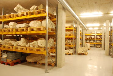 Centre des collections, Musée romain de Nyon