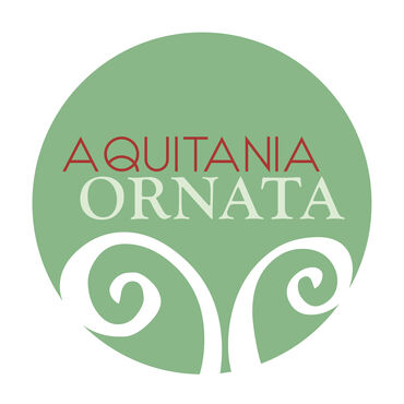 Aquitania Ornata, programme de recherche autour du décor pariétal en Aquitaine romaine