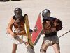 Combat de gladiateurs mené par ACTA