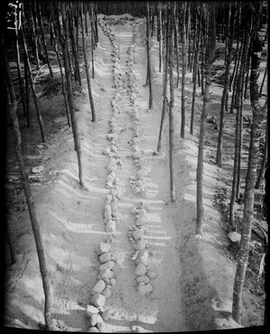 Wietrzychowice, grobowiec nr 3, widok od strony wierzchołka grobowca przed rekonstrukcja w 1935 r.