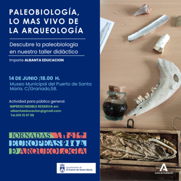 26707_vignette_4-Paleobiologia.-Puerto.png