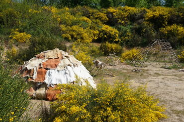 Habitat magdalénien