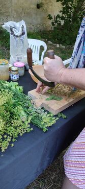 Découverte de la lactofermentation