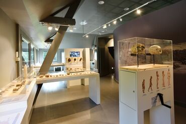 Intérieur musée de Préhistoire