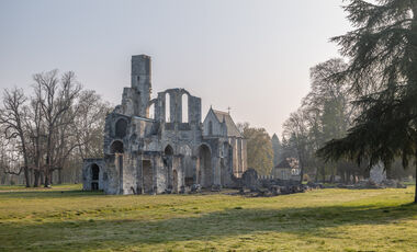 Ruines de l'abbaye
