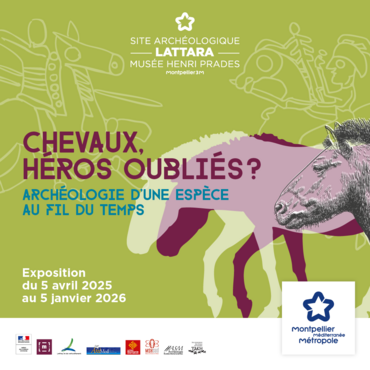 Chevaux, héros oubliés ? Archéologie d'une espèce au fil du temps