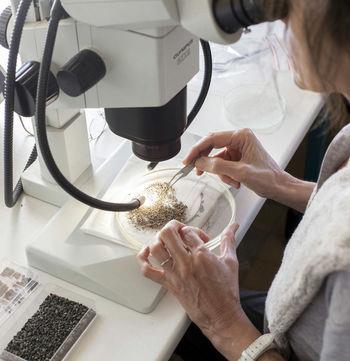 Atelier Carpologie