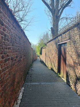 28393_vignette_IMG20250403102833.jpg