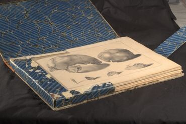 Archive chercheurs