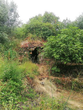 Cortelha
