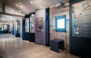 Exposition  Barbares en Gaule du Sud 