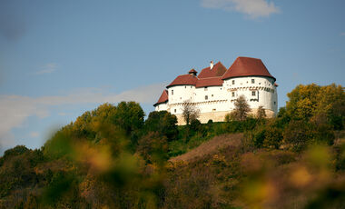 Dvor Veliki Tabor