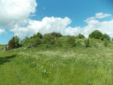 Muhu hill fort