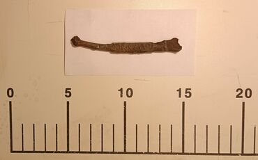 Spoon handle from the 14th - 15th cent.