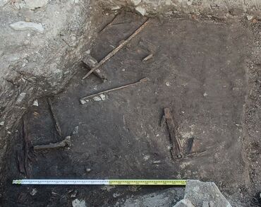 Remains of a medieval fence