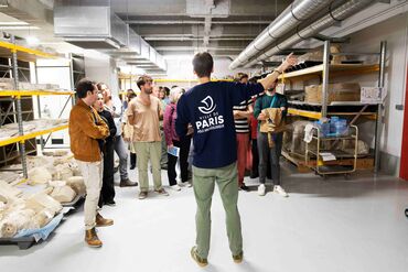 Visite guidée des réserves archéologiques de Paris
