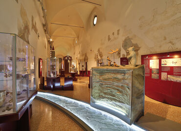Percorso museale