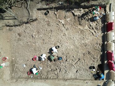 ORTOFOTO DELLA NECROPOLI A CREMAZIONE 2024